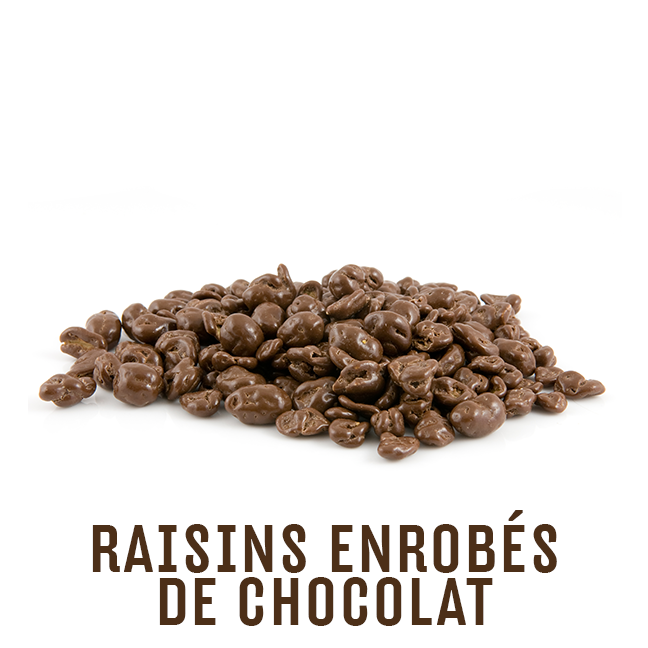 Chocolate Coated Raisin